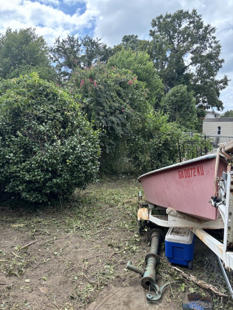 Brush clearing after